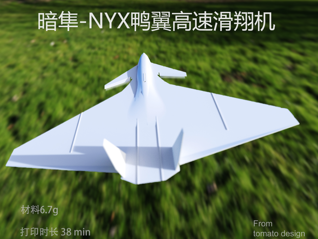 暗隼-高速鸭翼滑翔机(NyxFalcon) - 1