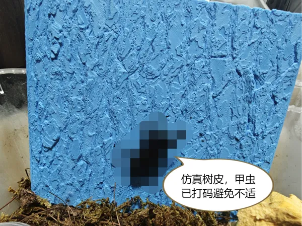 https://makerworld.bblmw.com/makerworld/model/USd3573f9adcf11b/design/2025-06-01_cd1a47a9c1cb58.jpg