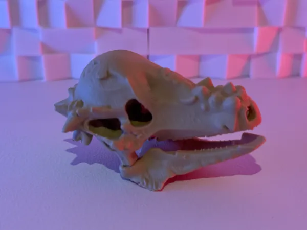 https://makerworld.bblmw.com/makerworld/model/USd3582558e73207/design/2025-07-04_4ecd47d110017.jpeg