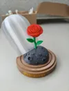 The Rose (2 versions)
