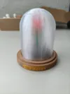 The Dome (for The Rose)
