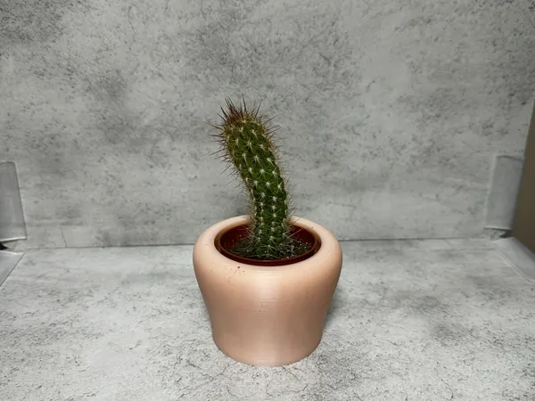 https://makerworld.bblmw.com/makerworld/model/USd35dd62260fbb2/design/2024-03-30_2a257d5efebc6.jpg