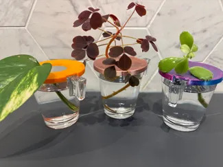 IKEA GOTTFINNANDE Plant Propagation Holder