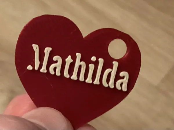 https://makerworld.bblmw.com/makerworld/model/USd3606366269dbf/design/2026-01-19_d893a36d275f7.jpg