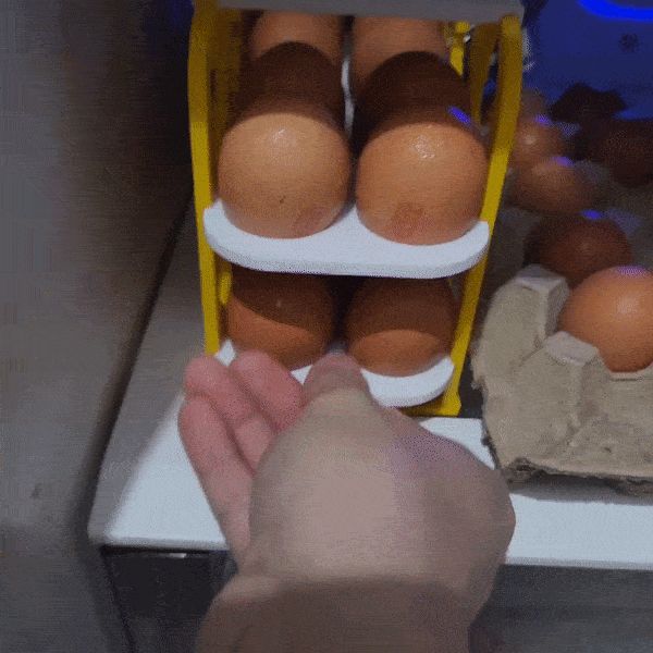Pull My Egg Tray - Includes Chicks Printout.