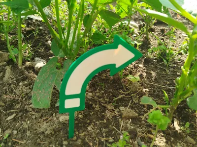 Plant arrow Left Right AMS Labeling Garden