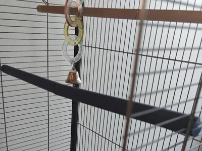 Zolux Birdcage Branch