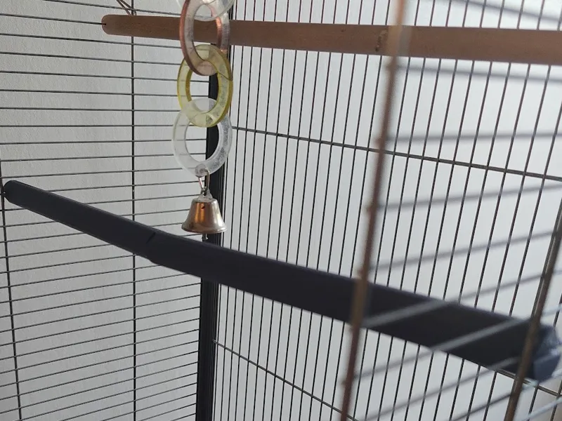 Branche pour cage à oiseau Zolux