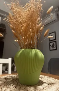 Vase Japandi Cactus Rift — photo 5