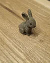 Little Rabbit Fuzzy Skin