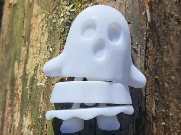 https://makerworld.bblmw.com/makerworld/model/USd384f3935e8a28/design/2025-10-21_b8c0ff11d02be8.jpg