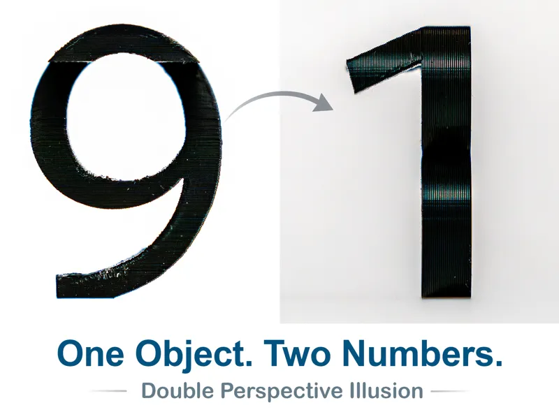 Number 91 Optical Illusion (10-99 available)