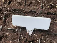 Étiquette de plante pour potager — photo 4
