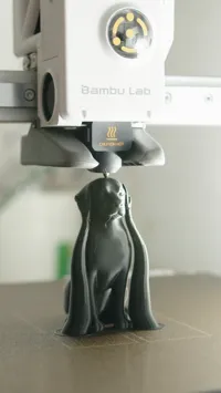 0.08mm layer, 2 walls, 5% infill