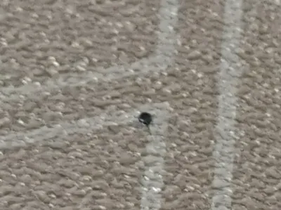 Smallest 3d Print on Makerworld