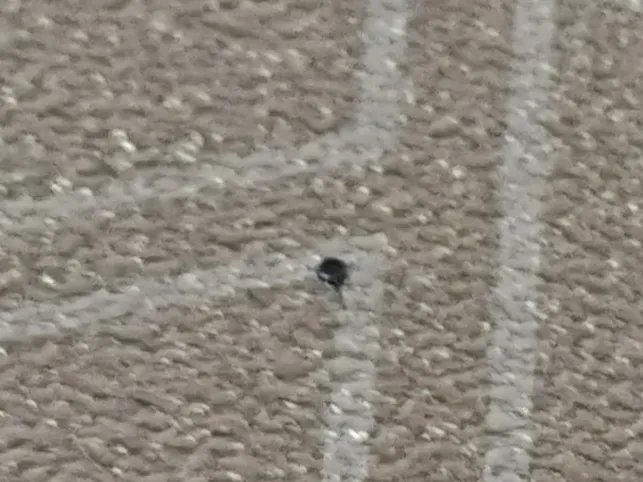Smallest 3d Print on Makerworld