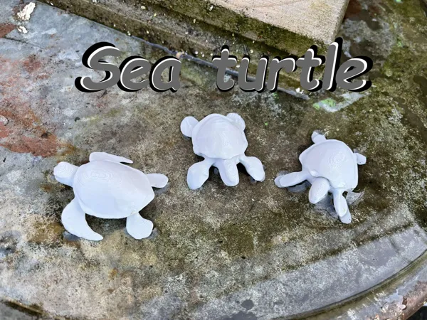 Tortue de mer