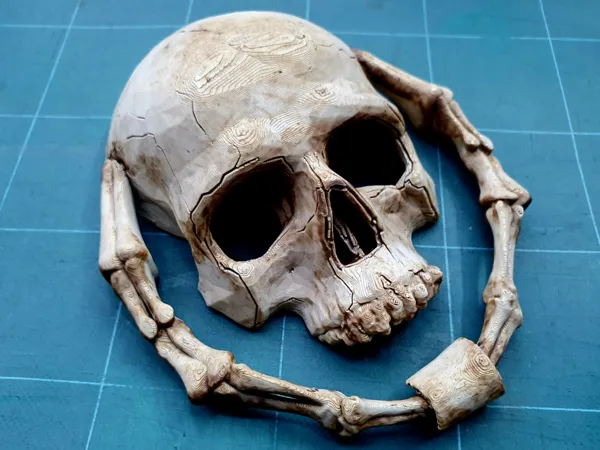 https://makerworld.bblmw.com/makerworld/model/USd38e98726a62a8/design/2025-06-20_5ec3480600ddb8.jpg