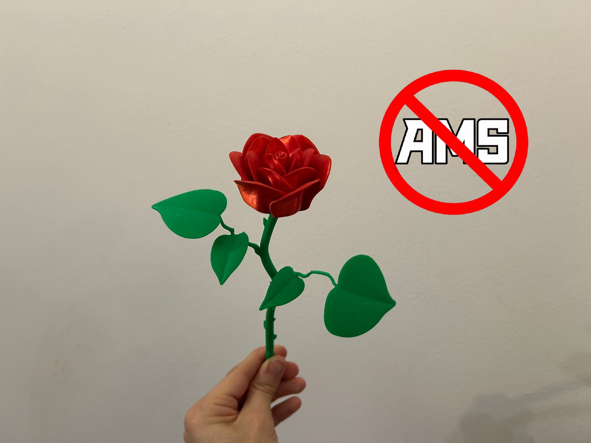 Miniatura 1 do modelo 3D Rose no AMS