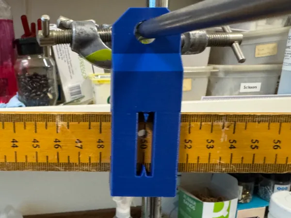 https://makerworld.bblmw.com/makerworld/model/USd39598b2fa88c7/design/2025-10-15_06afb7dedfa18.jpg