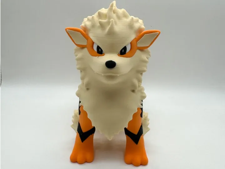 Arcanine Multicolor view 2