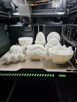 Für Druckplatte 256x256x256 0.2mm layer, 2 walls, 5% infill