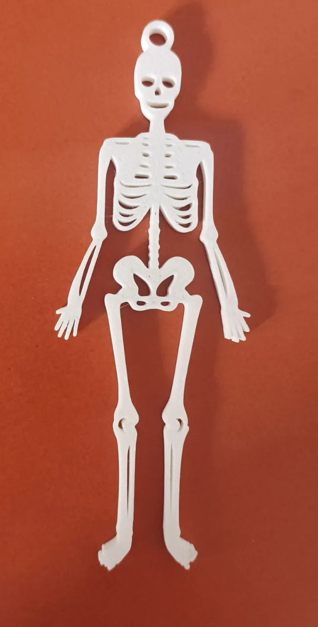 Skeleton halloween