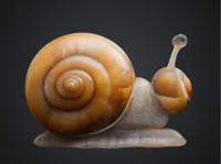 Petit escargot pour fin de bobine — photo 1