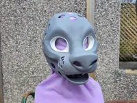 Eyes - PLA - 0.2mm layer, 3 walls, 100% infill