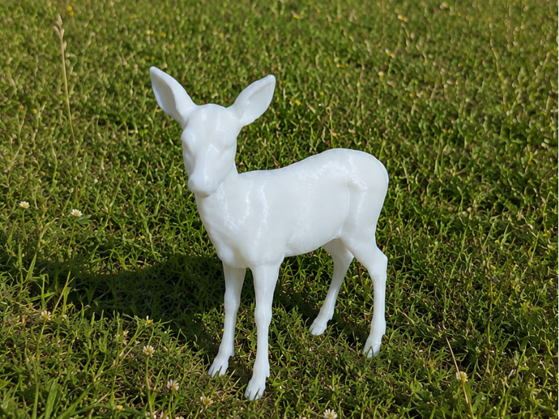 Doe deer