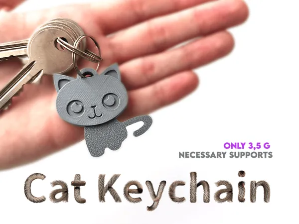 https://makerworld.bblmw.com/makerworld/model/USd3b229afdedb29/design/2024-06-09_0f5c11497ea1d.png