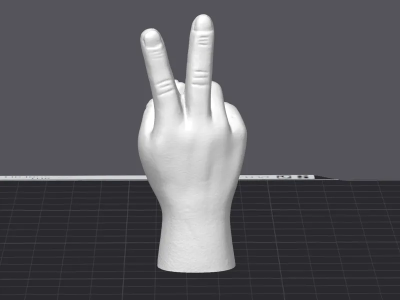 Peace hands