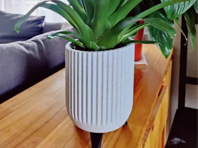 Modern Decorative Planter