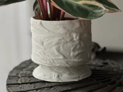 Veiny/Root Textured Footed Planter