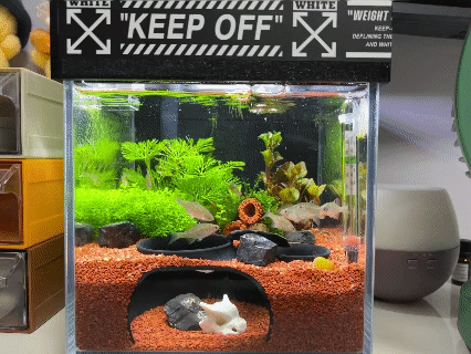 Miniatura 2 do modelo 3D 鼠鱼躲避屋