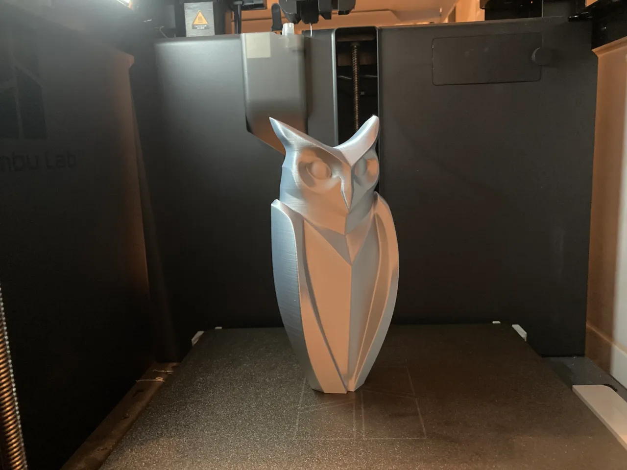 Owl view 2