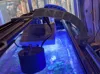 0.2mm layer, 5 walls, 15% infill