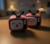 Pink Fuzzy Skine TV Fidget Toy
