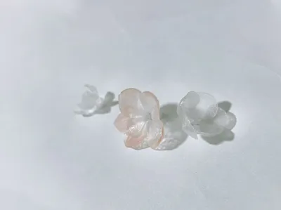 Plum blossom, peach blossom, cherry blossom, pear blossom, apricot blossom (thermoforming hot pressing)