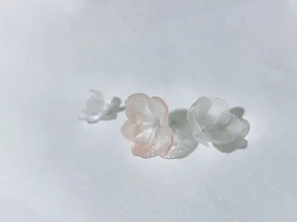 https://makerworld.bblmw.com/makerworld/model/USd3cc76a3ac66ec/design/24adc32e1aec3680.jpg