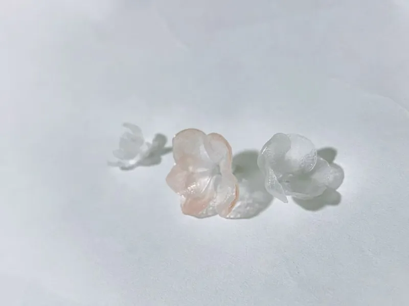 梅花桃花樱花梨花杏花（热塑热压）