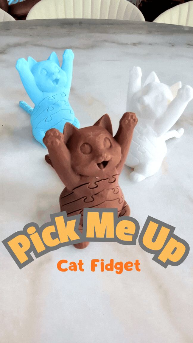 Pick Me Up - Cat Fidget