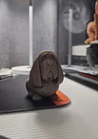Basset hound — photo 5