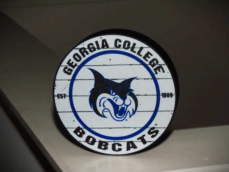 Georgia College Light Box
