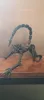 Dummy 13 Xenomorph Plantigrade