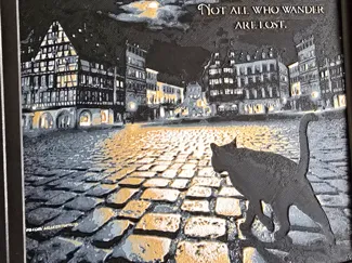 Cat Wondering HF: "Not All Who Wonder Are Lost" 