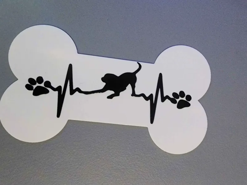 Labrador Heartbeat