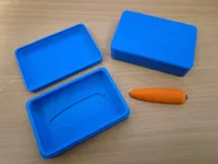 Carrot in a Box - With AMS