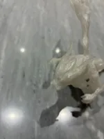 0.2mm layer, 2 walls, 10% infill - All three in one
