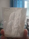 0.12mm layer, 2 walls, 15% infill